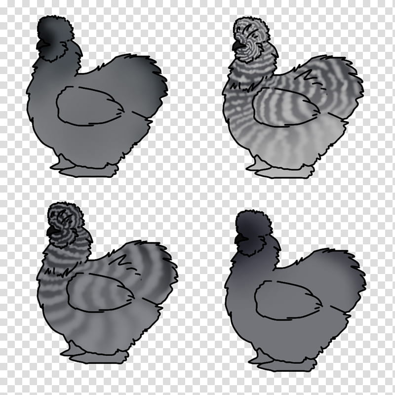 Bird Drawing, Rooster, Silkie, Chicken As Food, Fried Chicken, Logo, Beak, Landfowl transparent background PNG clipart