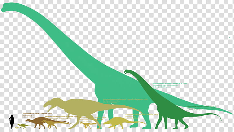 Green Grass, Sauroposeidon, Argentinosaurus, Tenontosaurus, Supersaurus, Breviparopus, Alamosaurus, Puertasaurus transparent background PNG clipart