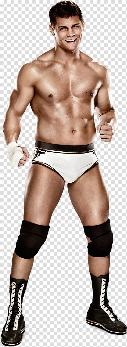 Cody Rhodes  Stats transparent background PNG clipart