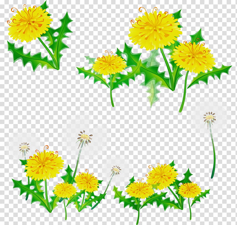 Drawing Of Family, Watercolor, Paint, Wet Ink, Dandelion, Coltsfoot, Flower, Herbaceous Plant transparent background PNG clipart