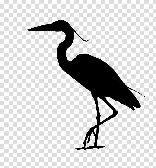 Crane Bird, Ibis, Stork, Water Bird, Beak, Wader, Feather, Silhouette ...