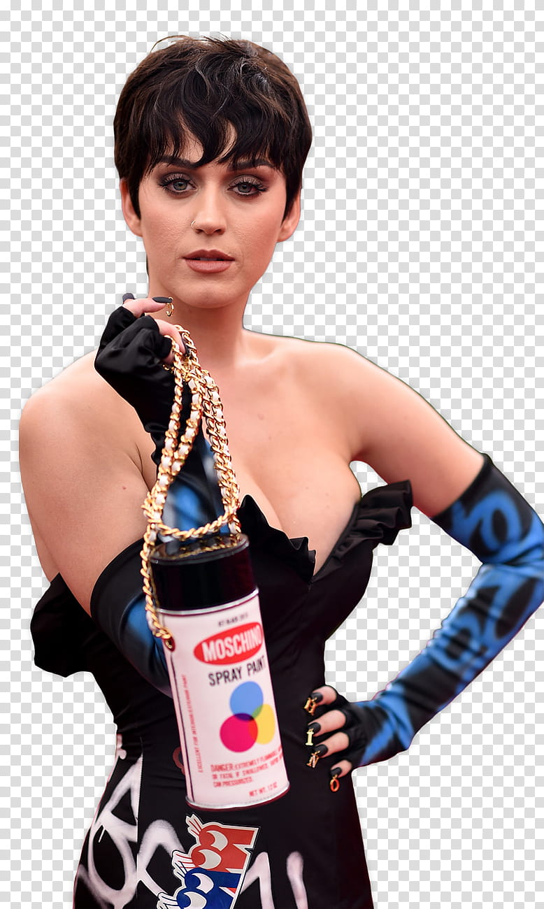 Katy Perry transparent background PNG clipart HiClipart