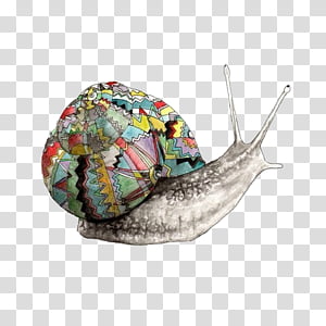 Vintage Animals Sorpresita 11 20, gray and multicolored snail artwork illustration transparent background PNG clipart thumbnail
