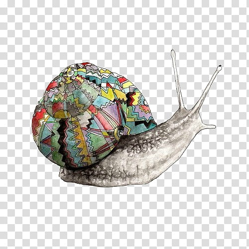 Vintage Animals Sorpresita  , gray and multicolored snail artwork illustration transparent background PNG clipart