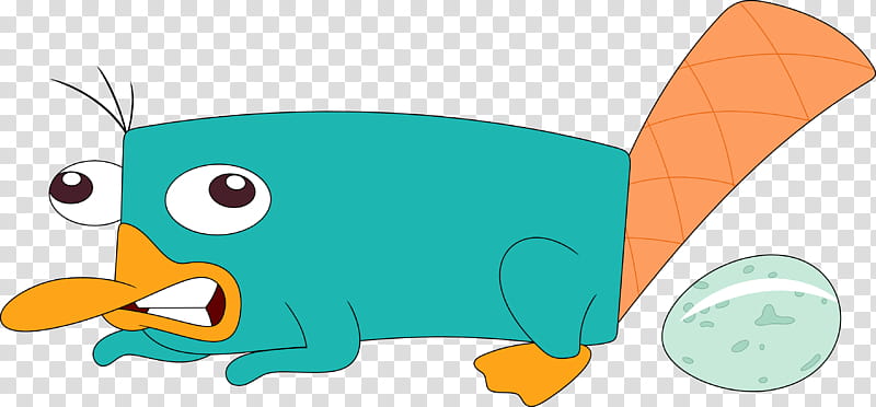 Perry The Platypus, Ferb Fletcher, Phineas Flynn, Dr Heinz Doofenshmirtz, Artist, Art Museum, Perry Lays An Egg, Phineas And Ferb transparent background PNG clipart