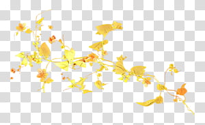 yellow,  Cartoon transparent background PNG clipart thumbnail