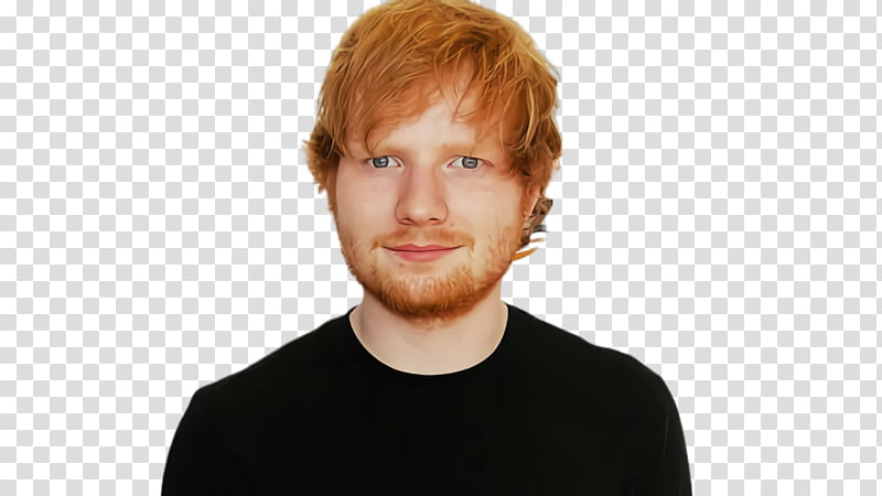 Tv, Ed Sheeran, Desktop , Music, MTV Video Music Award, Television, Singer, Widescreen transparent background PNG clipart