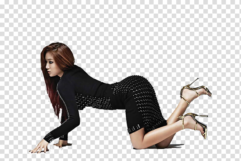 Soyou transparent background PNG clipart
