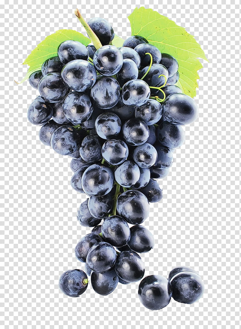 Fruit Juice, Common Grape Vine, Muscadine, Zante Currant, Must, Wine, Grape Leaves, Food transparent background PNG clipart