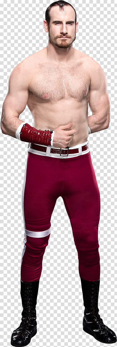 Aiden English  Stats transparent background PNG clipart
