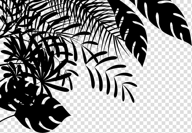Cartoon Palm Tree, Palm Trees, Breathe In Breathe Out, Black White M, Charles Wallace Murry, London Rag, Leaf, Plant transparent background PNG clipart