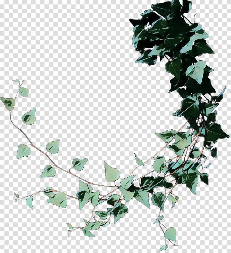 Drawing Of Family, Vine, Common Ivy, Leaf, Branch, Plant, Holly, Flower transparent background PNG clipart