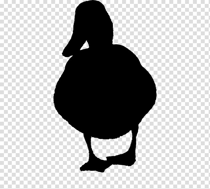 Bird Silhouette, Duck, Goose, Fowl, Beak, Neck, Water Bird, Ducks Geese And Swans transparent background PNG clipart