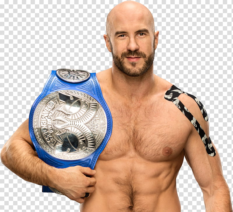 Cesaro transparent background PNG clipart