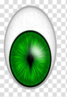animals eyes, green and white eye illustration transparent background PNG clipart