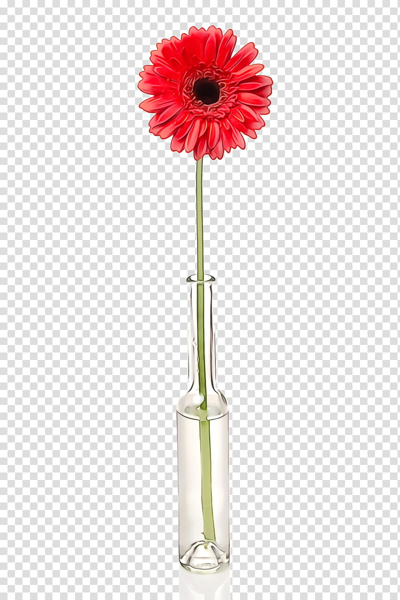 Artificial flower, Watercolor, Paint, Wet Ink, Gerbera, Vase, Red, Barberton Daisy transparent background PNG clipart