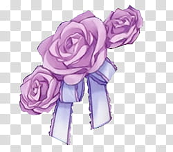 Watchers, three pink rose flowers illustration transparent background PNG clipart
