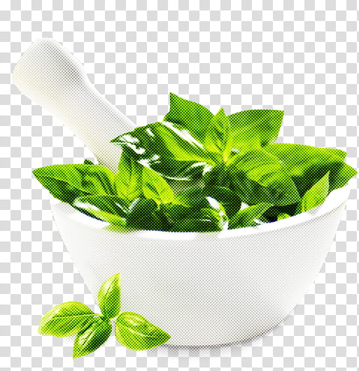 leaf herbal basil plant food, Vegetable, Ingredient, Lemon Basil, Flower transparent background PNG clipart