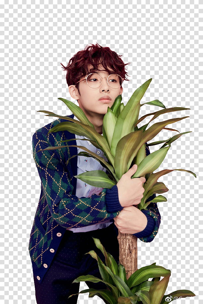 WINWIN NCT CECI, man hugging a plant transparent background PNG clipart