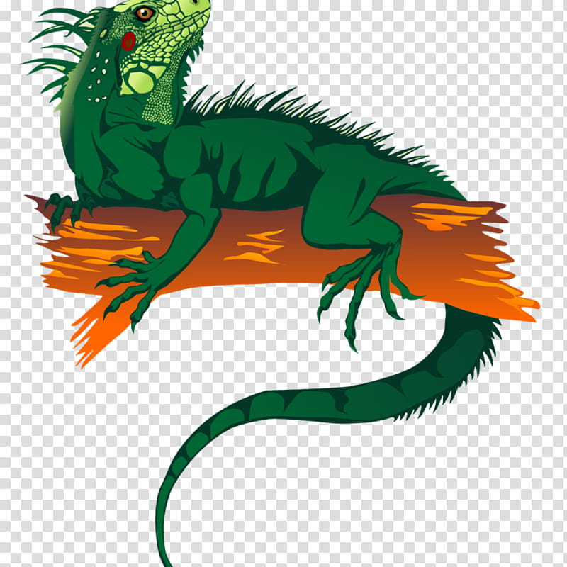 Dragon Drawing, Lizard, Green Iguana, Reptile, Blue Iguana, Cartoon, Marine Iguana, Common Iguanas transparent background PNG clipart
