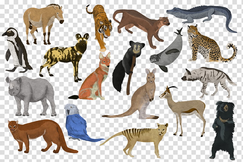 Dog And Cat, Lion, South China Tiger, Animal, Pet, Color, Animal Figure, Wildlife transparent background PNG clipart