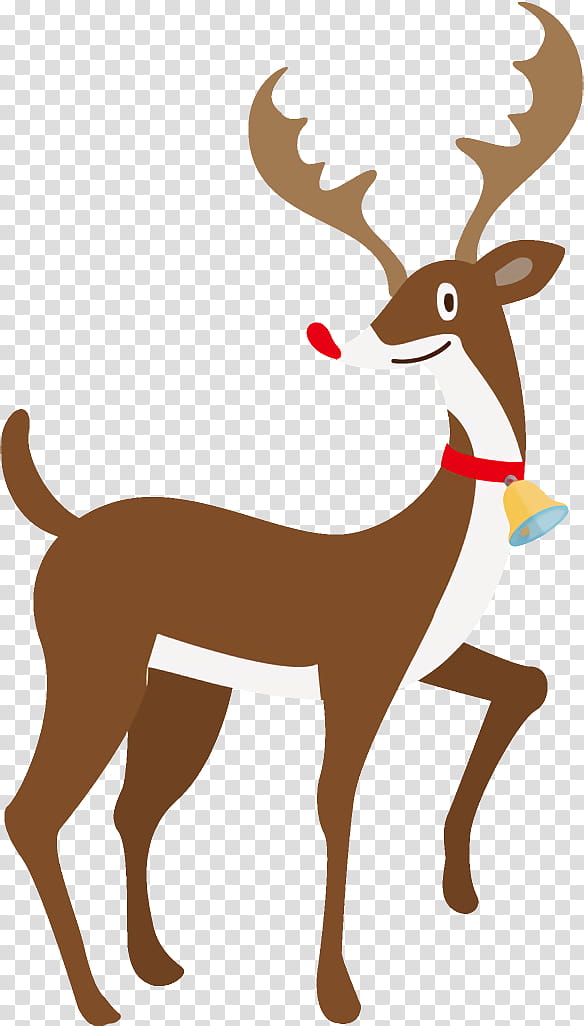 Reindeer Christmas Reindeer Christmas, Christmas , Wildlife, Tail, Antler, Fawn, Roe Deer transparent background PNG clipart