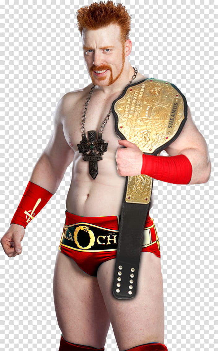 Sheamus WHC transparent background PNG clipart