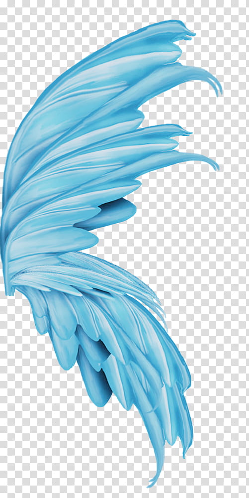 Wings, blue wing art transparent background PNG clipart