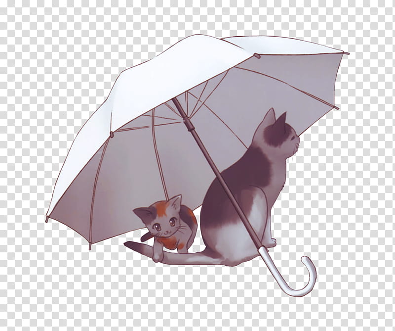 Neko, kitten and cat inside shade of umbrella transparent background PNG clipart