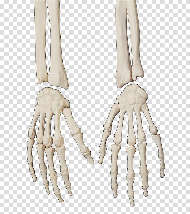 HALLOWEEN O, pair of skeleton hands transparent background PNG clipart