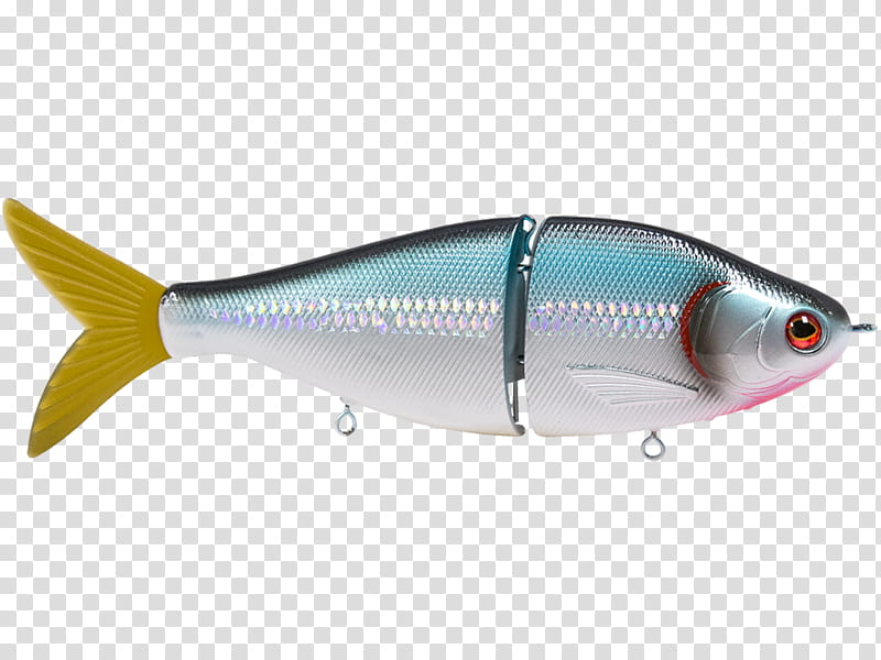 Fishing, Sardine, Spoon Lure, Oily Fish, Biology, Milkfish, Plug, Fishing Bait transparent background PNG clipart
