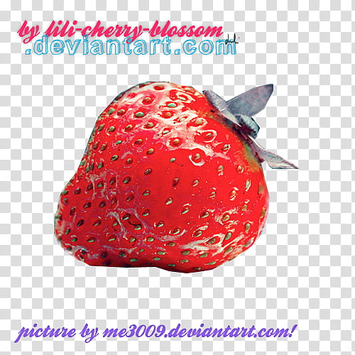 , red strawberry illustration transparent background PNG clipart