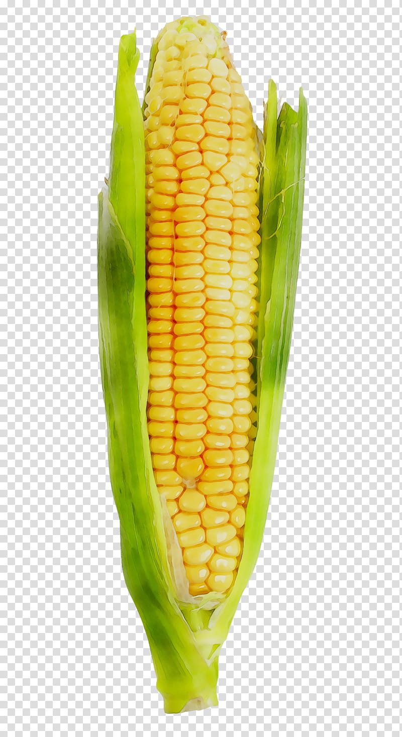 Vegetable, Corn On The Cob, Dietary Supplement, Sweet Corn, Corn Kernel, Commodity, Mineral, Diens transparent background PNG clipart