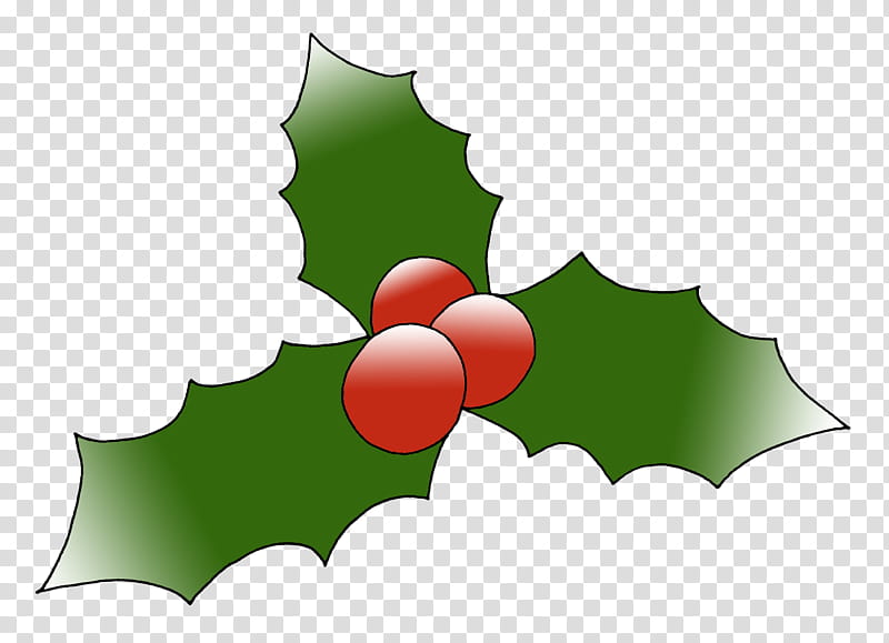 Holly, Leaf, Green, American Holly, Tree, Plant, Hollyleaf Cherry, Plane transparent background PNG clipart