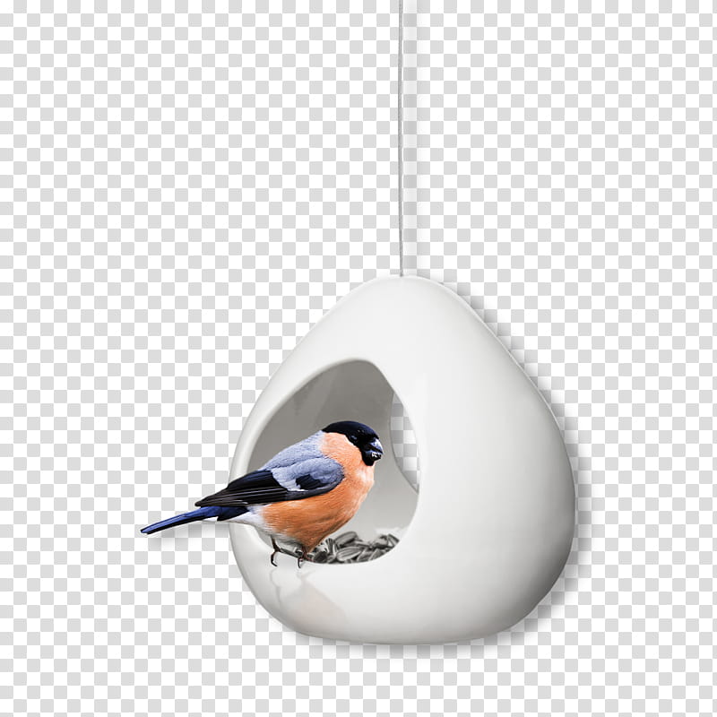 Cartoon Bird, Bird Feeders, Eva Solo, Glass, Eva Solo Aquastar Watering Can, Sagaform, Watering Cans, Kitchen transparent background PNG clipart