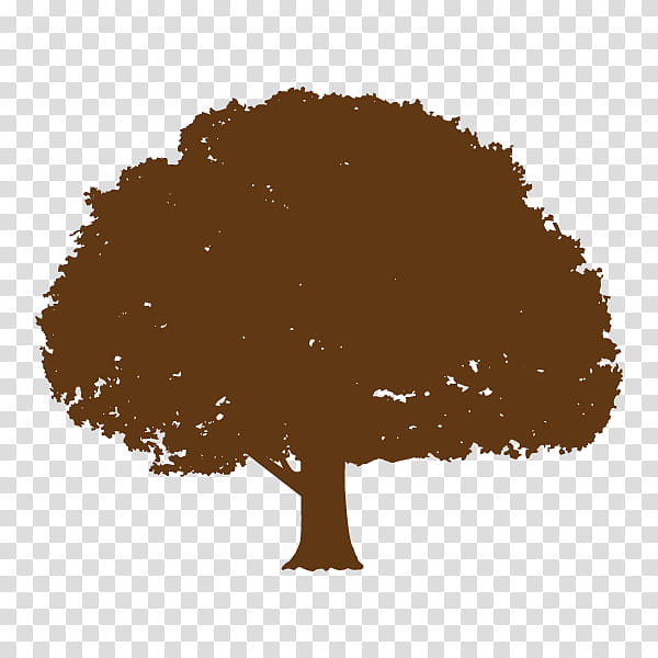 Oak Tree Silhouette, Moreton Bay Fig Tree, Root, Diagram, Tree Diagram, Willow, Broadleaved Tree, Plants transparent background PNG clipart