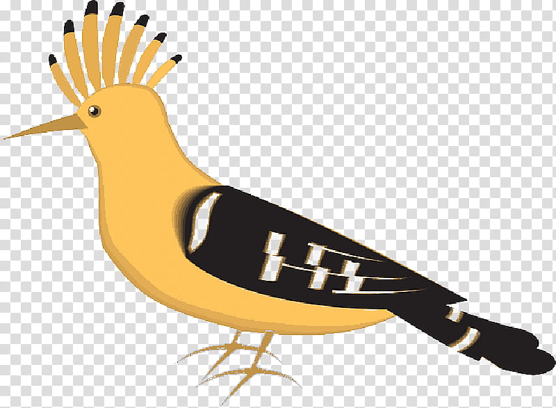 Cartoon Bird, Eurasian Hoopoe, African Hoopoe, Drawing, Greater Hoopoelark, Hoopoes, Beak, Perching Bird transparent background PNG clipart