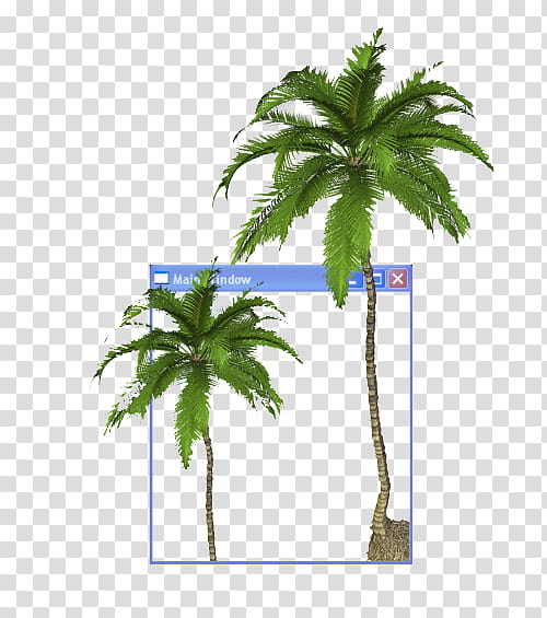 Green aesthetic, two coconut trees transparent background PNG clipart