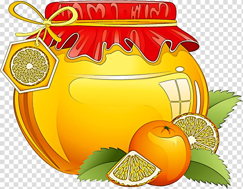 Orange, Citrus, Yellow, Fruit, Plant, Grapefruit, Valencia Orange, Tangerine transparent background PNG clipart