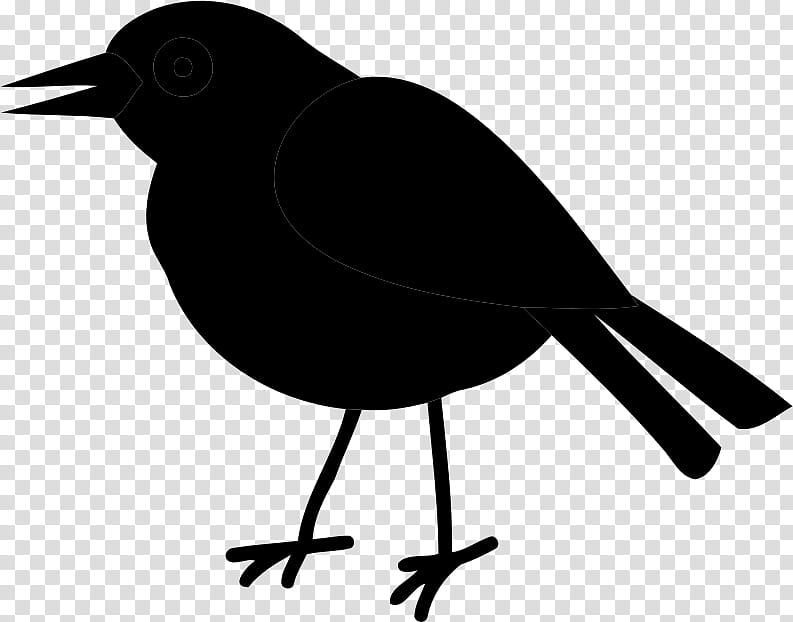 Bird Silhouette, American Crow, Common Raven, Beak, Blackbird, Fish Crow, New Caledonian Crow, Crowlike Bird transparent background PNG clipart