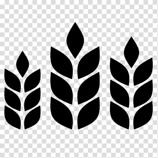 Wheat, Agriculture, Logo, Farm, Field, Agriculturist, Harvest, Leaf transparent background PNG clipart
