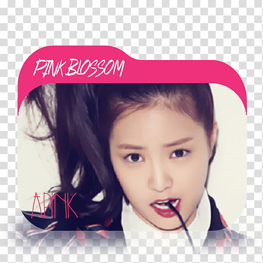 APINK PINK BLOSSOM EXTREME FOLDER ICONS , Naeun # transparent background PNG clipart