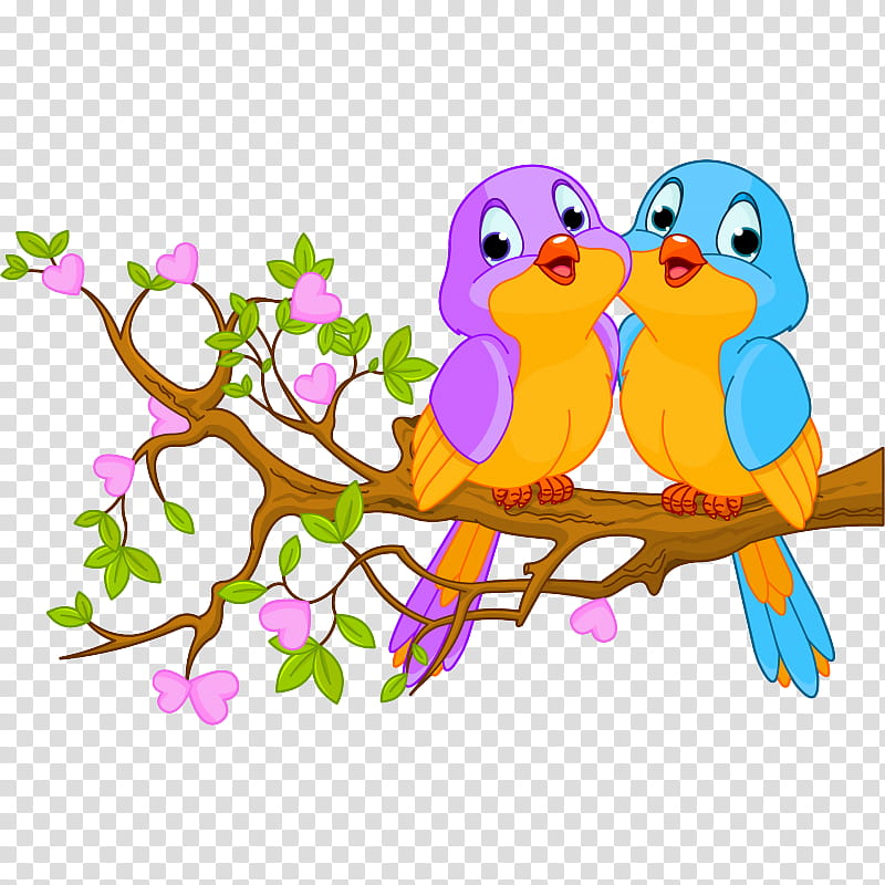 Bird Parrot, Lovebird, Budgerigar, Bird Of Prey, Beak, Branch, Flower, Owl transparent background PNG clipart