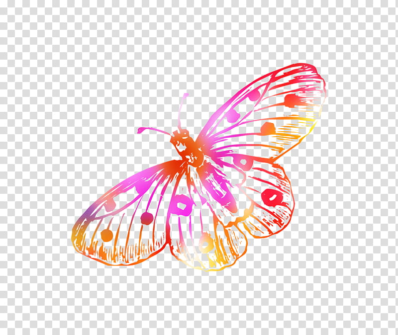 Santa, Monarch Butterfly, Brushfooted Butterflies, Line, Cia Industrial Santa Matilde, Orange Sa, Tiger Milkweed Butterflies, Moths And Butterflies transparent background PNG clipart
