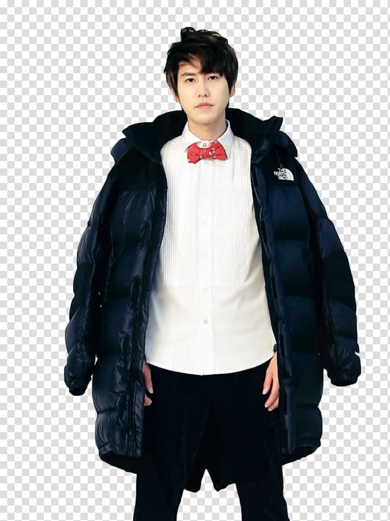 Kyuhyun Super Junior transparent background PNG clipart