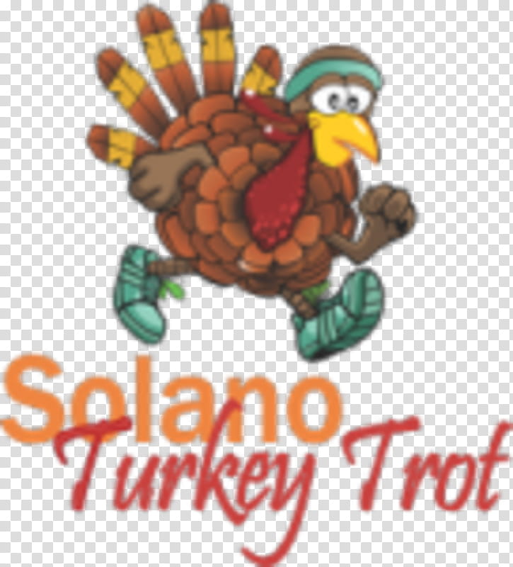 Turtle, Solano Community College, School
, Fairfield, Solano County California, Tortoise, Food, Fruit transparent background PNG clipart