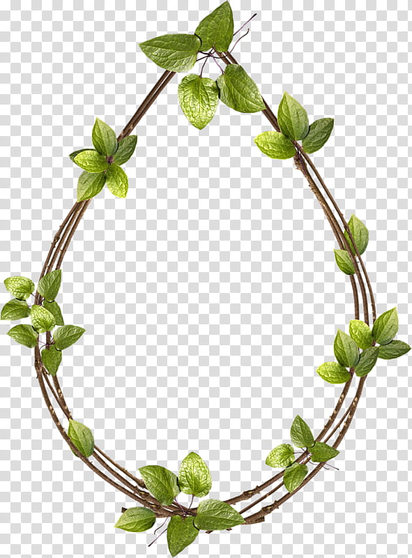 Leaf Shape, Plants, Flower, Data Compression, Vine, Grapevines, Ivy transparent background PNG clipart