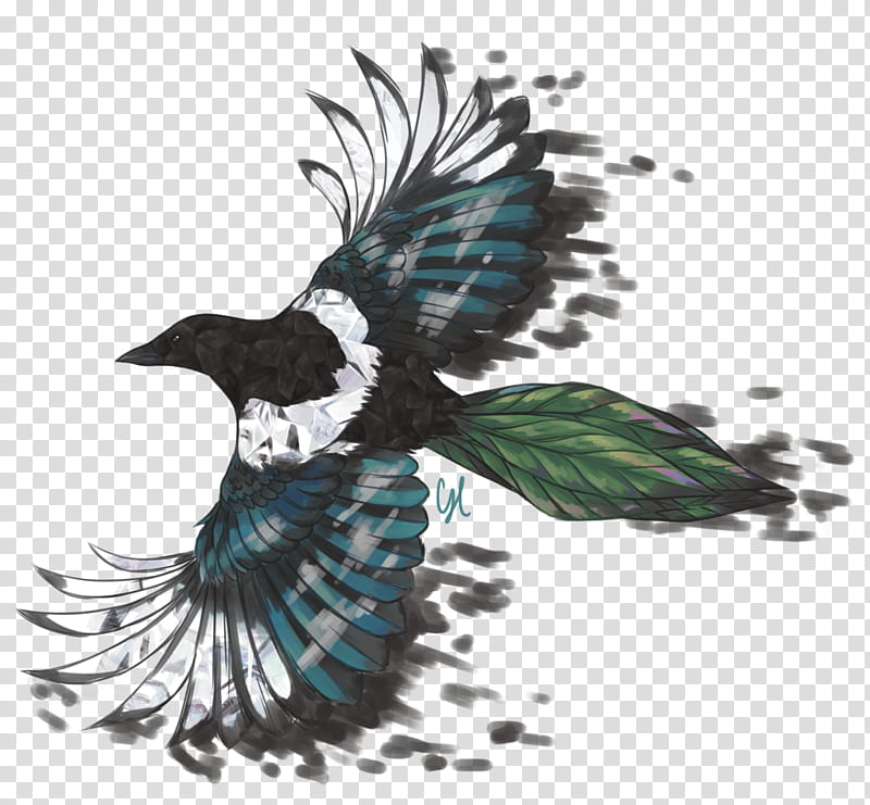 Bird Wing, Beak, Feather, Crow, Cuckoos, Tail, Crow Like Bird, Cuculiformes transparent background PNG clipart