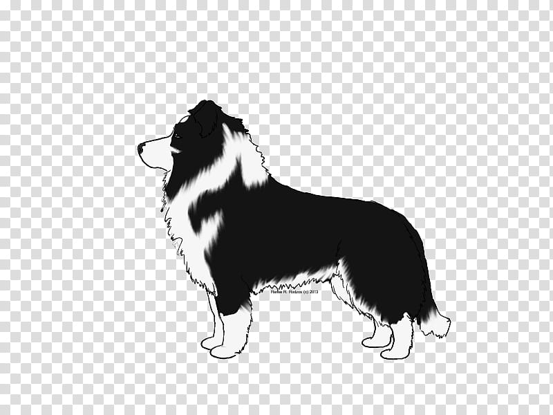 Cartoon Border, Border Collie, Rough Collie, Herding Dog, Drawing, Snout, Breed, Australian Shepherd transparent background PNG clipart