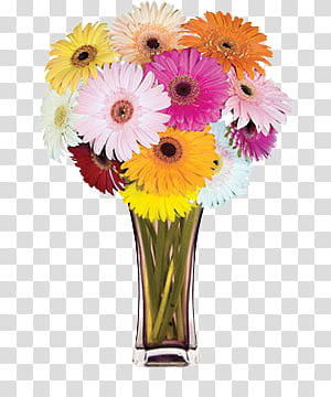 Spring, several flowers in vase illustration transparent background PNG clipart